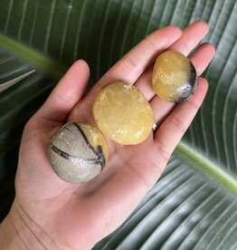 Septarian Palm Stone, Size XX-Small [25-49gr]