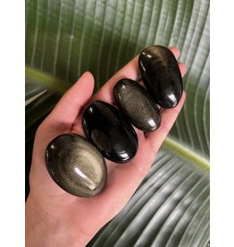 Gold Sheen Obsidian Palm Stone, Size XX-Small [25-49gr]