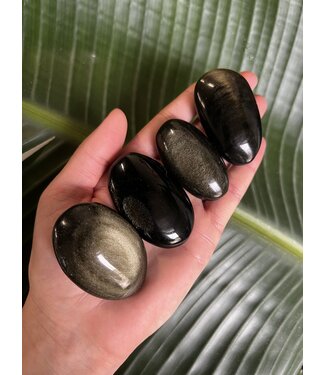Gold Sheen Obsidian Palm Stone, Size XX-Small [25-49gr]
