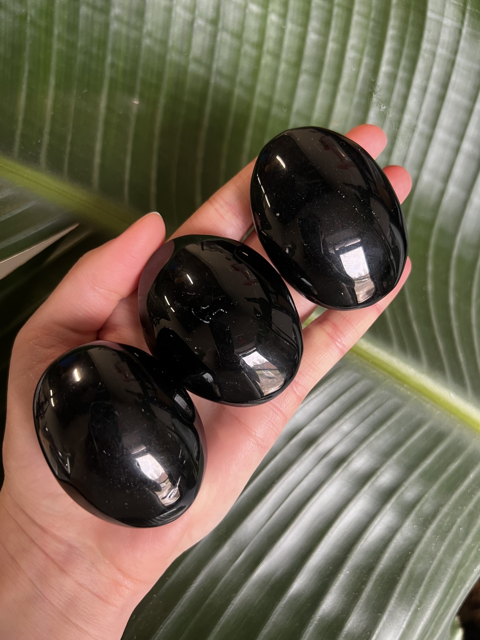 Black Obsidian Palm Stones Black Obsidian Palm Stones