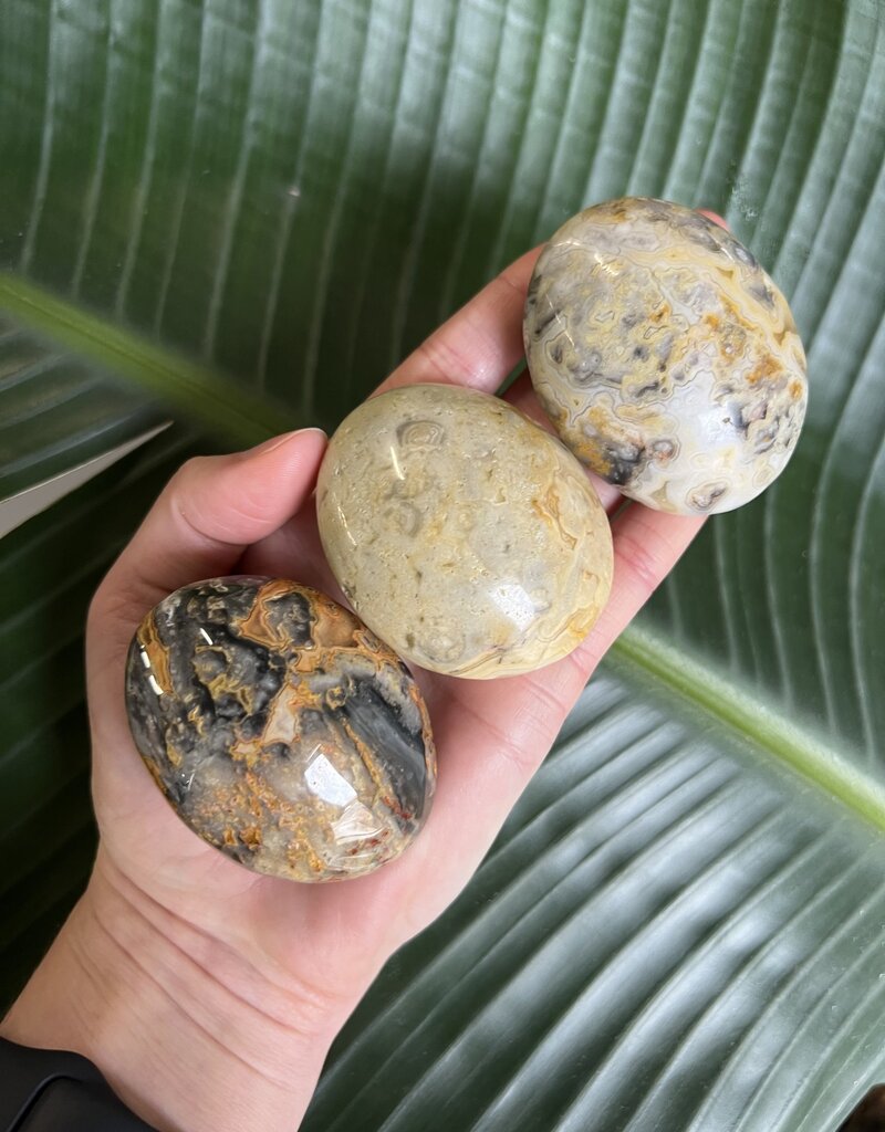 Crazy Lace Agate Palm Stone, Size Medium [100-124gr] *disc.*