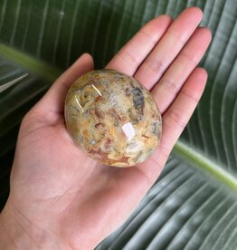 Crazy Lace Agate Palm Stone, Size X-Large [150-174gr] *disc.*