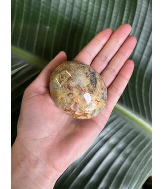 Crazy Lace Agate Palm Stone, Size X-Large [150-174gr] *disc.*