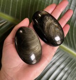 Gold Sheen Obsidian Palm Stone, Size Small [75-99gr]