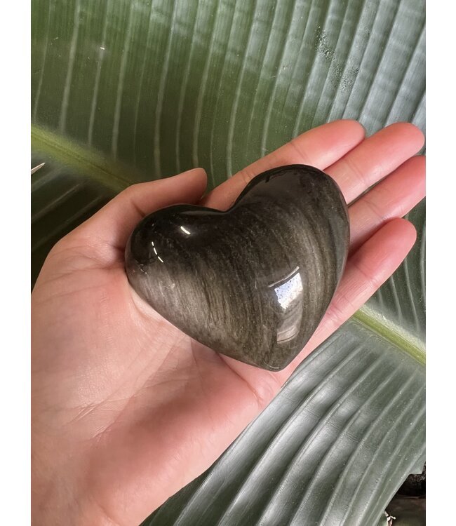 Gold Sheen Obsidian Heart, Size XX-Large [175-199gr]