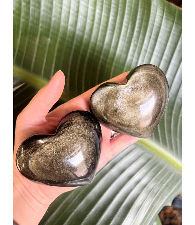 Gold Sheen Obsidian Heart, Size Jumbo [200-224gr]