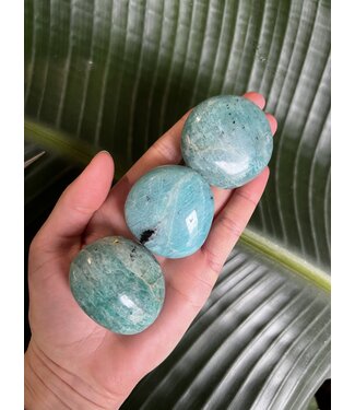 Amazonite Palm Stone, Size X-Small [50-74gr]