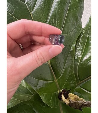 Mini Fluorite Butterfly *disc.*