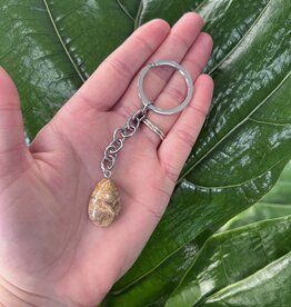 Silver Chain Natural Keychain, Crazy Lace Agate *disc.*