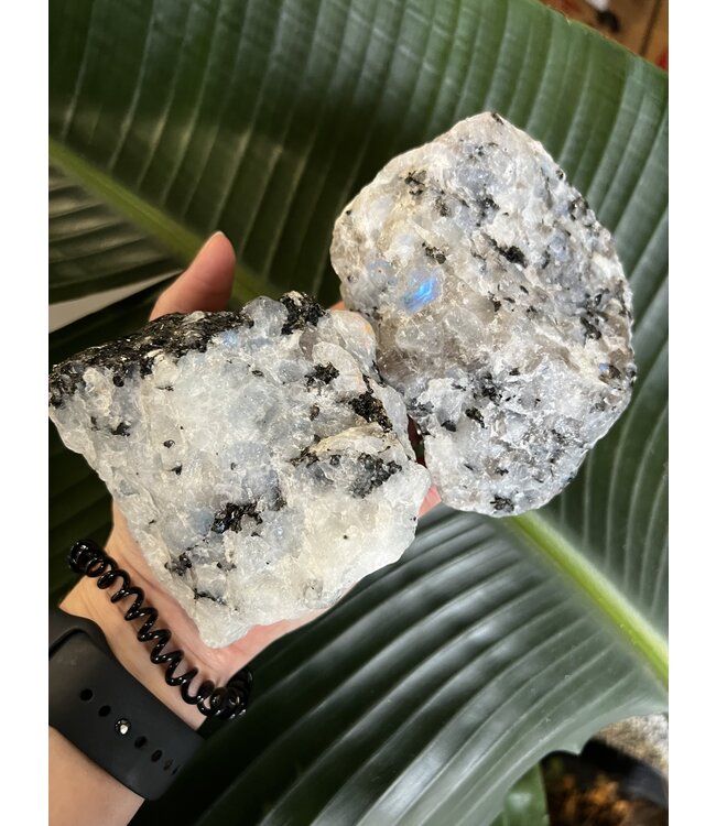 Rough Rainbow Moonstone Size 7 [600-699gr]