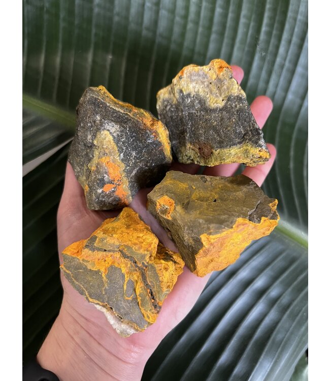 Rough Bumblebee Jasper Size 2 [100-199gr]