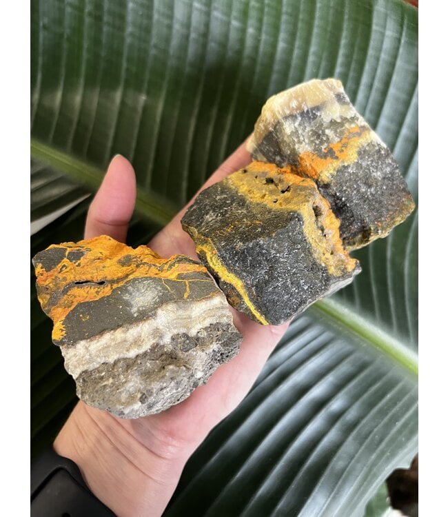 Rough Bumblebee Jasper Size 3 [200-299gr]