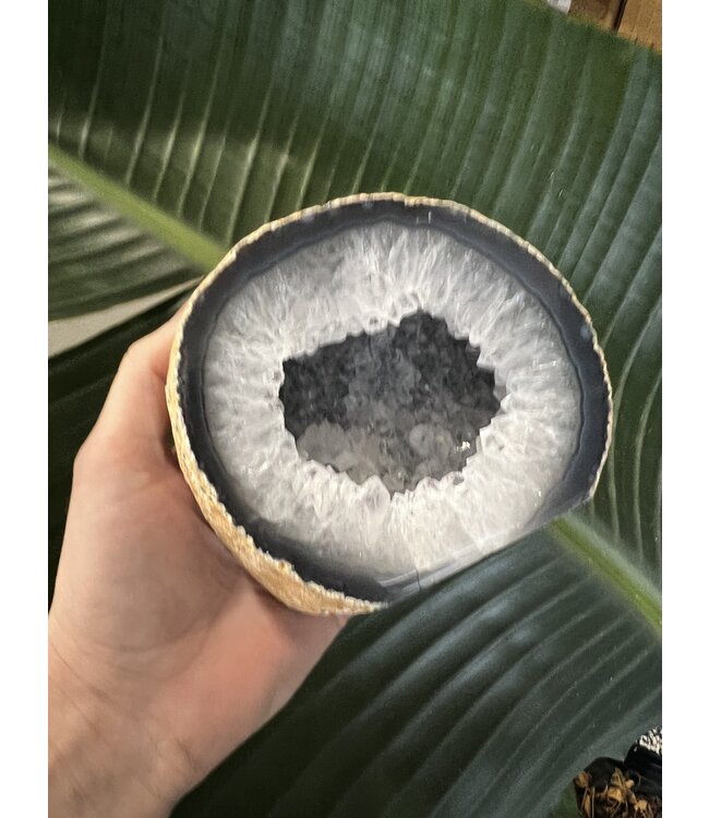 Natural Agate Geode Cut Base Size 10 [900-999gr]