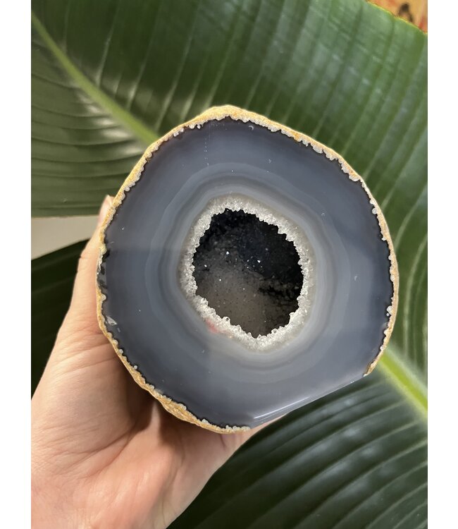 Natural Agate Geode Cut Base Size 13 [1200-1299gr]