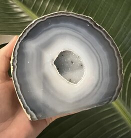 Natural Agate Geode Cut Base Size 11 [1000-1099gr]