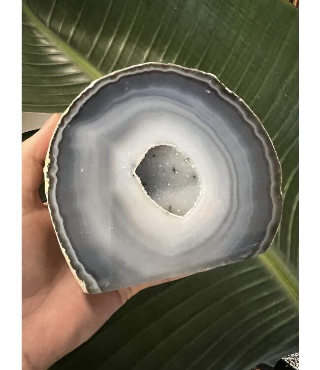 Natural Agate Geode Cut Base Size 11 [1000-1099gr]