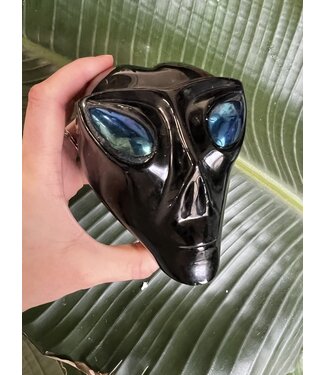 Large Black Obsidian Alien Skull #4, 960gr *disc.*