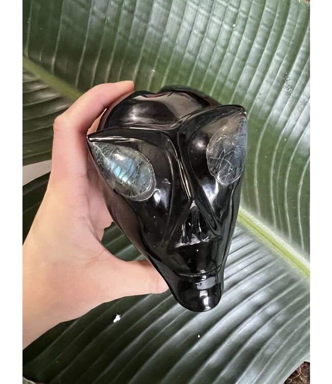 Large Black Obsidian Alien Skull #5, 826gr *disc.*