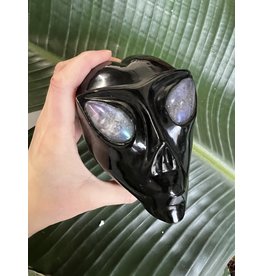 Large Black Obsidian Alien Skull #6, 908gr