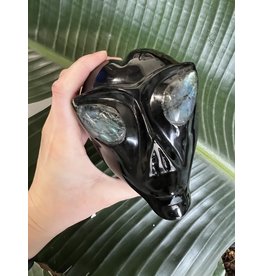 Large Black Obsidian Alien Skull #7, 960gr