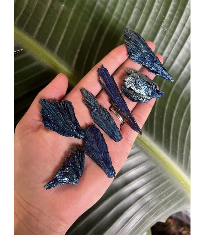 Blue Aura Kyanite Size 1 (5-9gr)