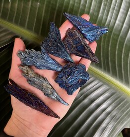 Aura Kyanite Size 4 (20-24gr)