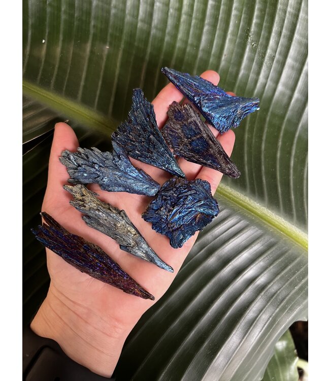 Blue Aura Kyanite Size 4 (20-24gr)