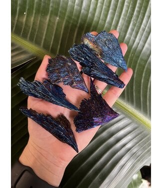 Blue Aura Kyanite Size 5 (25-29gr)