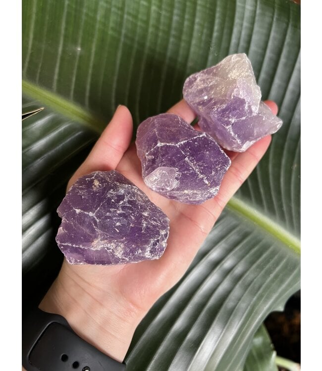 Rough Amethyst Size 2 [100-199gr]