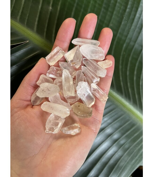 Rough Naturally Terminated Clear Quartz Points, Size Small BULK
