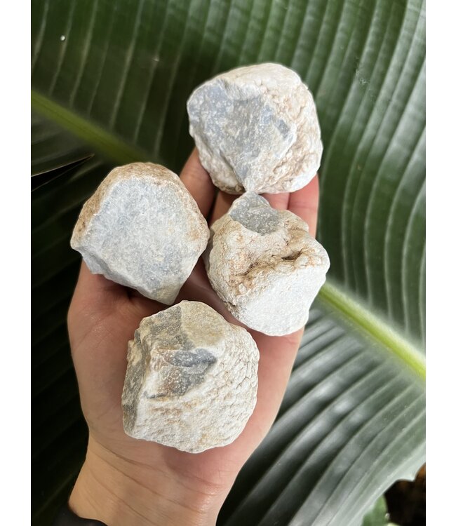 Rough Angelite Size 2 [100-199gr]