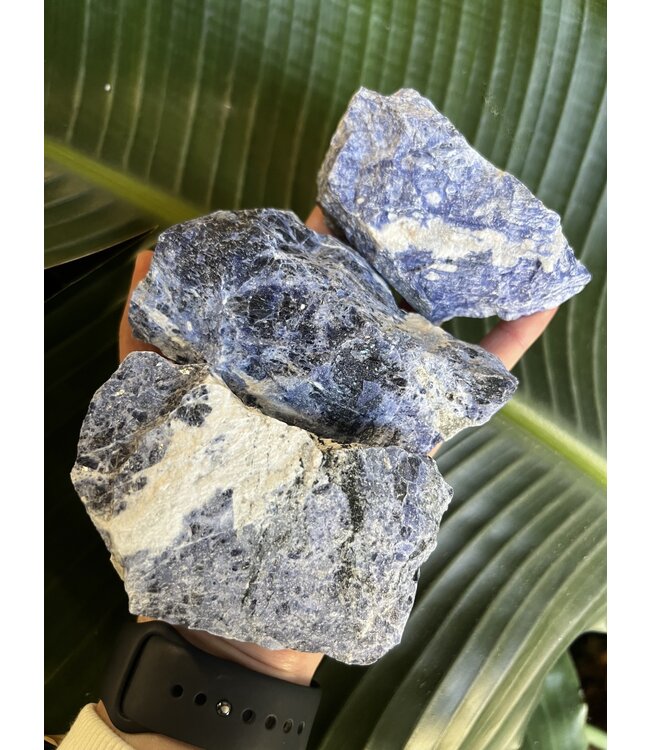 Rough Sodalite Size 3 [200-299gr]