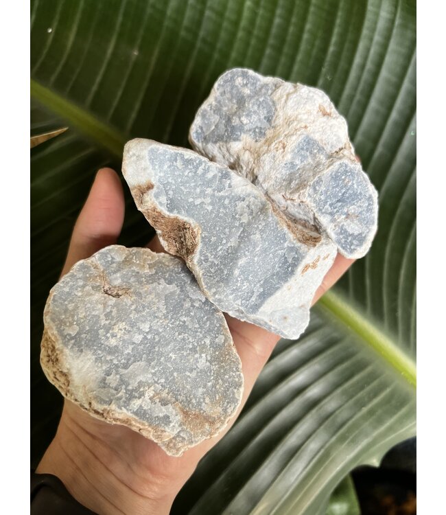 Rough Angelite Size 3 [200-299gr]