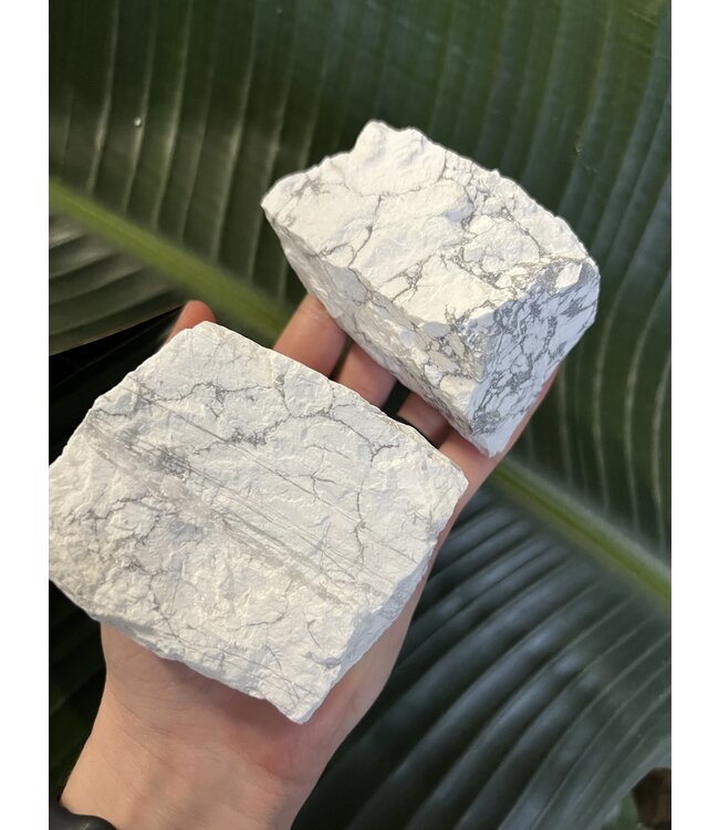 Rough Howlite Size 5 [400-499gr]