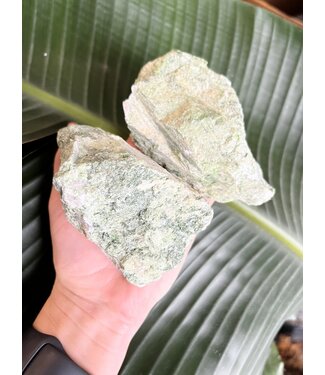 Rough Diopside Size 6 [500-599gr]