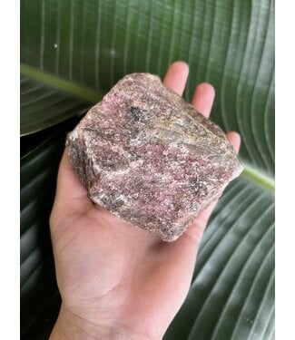 Rough Rhodonite Size 9 [800-899gr]
