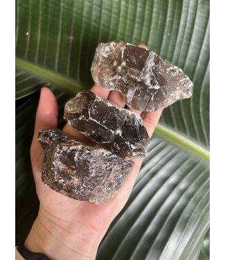Rough Smoky Quartz Size 2 [100-199gr]