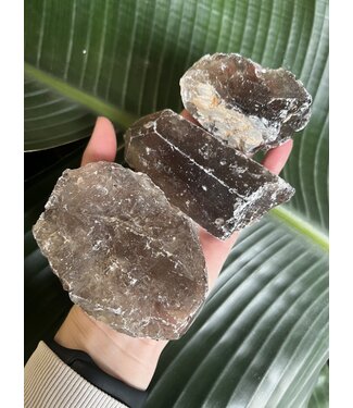 Rough Smoky Quartz Size 3 [200-299gr]