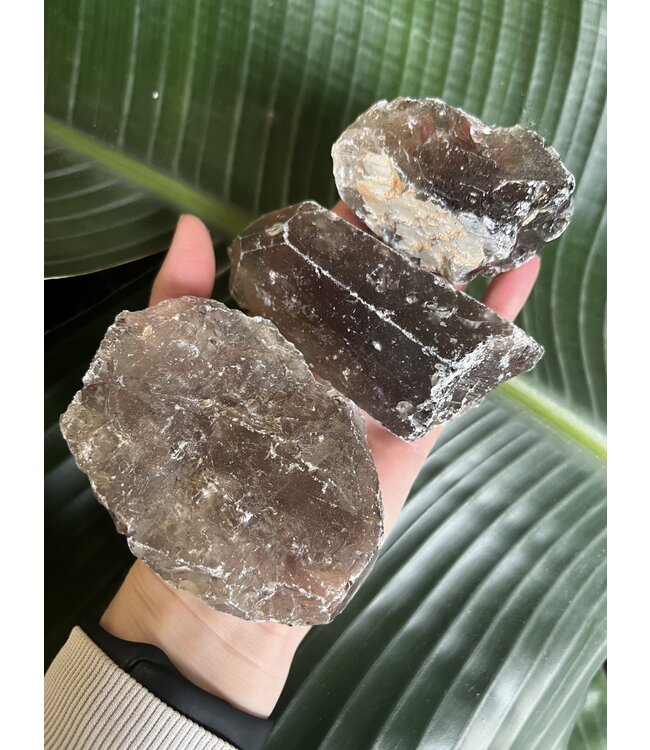 Rough Smoky Quartz Size 3 [200-299gr]