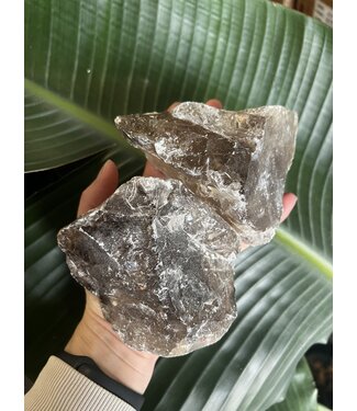 Rough Smoky Quartz Size 8 [700-799gr]
