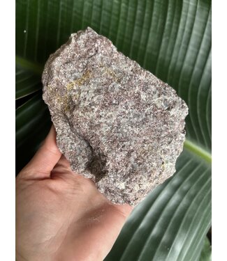 Rough Lepidolite Size 9 [800-899gr]
