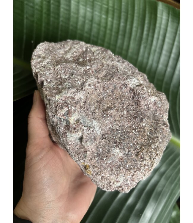 Rough Lepidolite Size 16 [1500-1599gr]