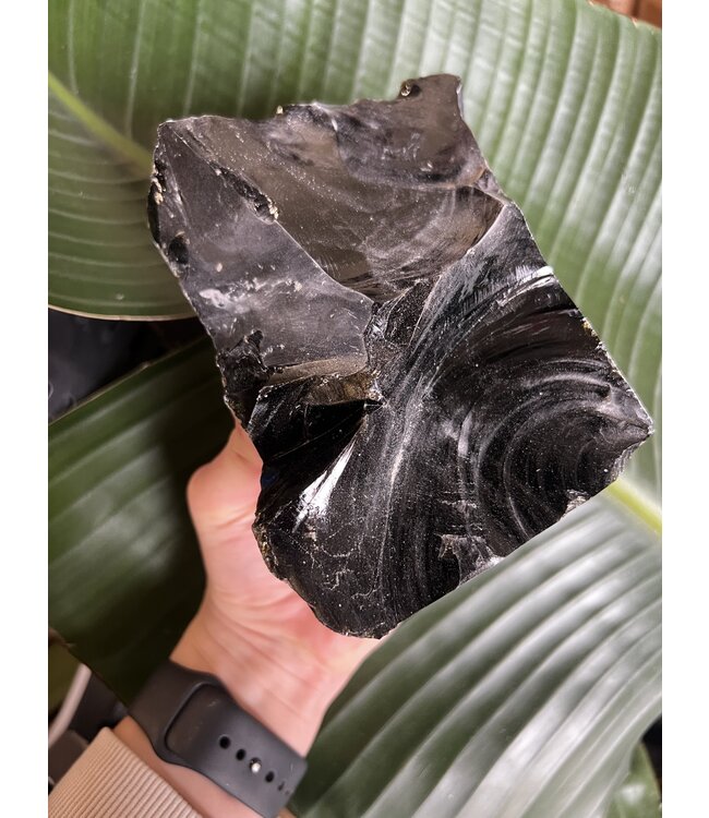 Rough Gold Sheen Obsidian Size 18 [1700-1799gr]