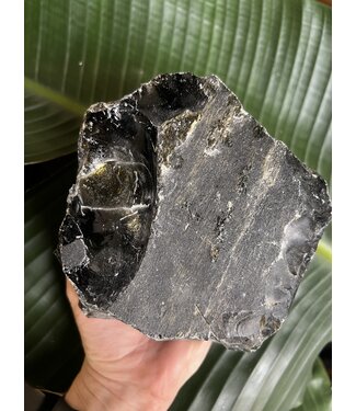 Rough Gold Sheen Obsidian Size 21 [2000-2099gr]