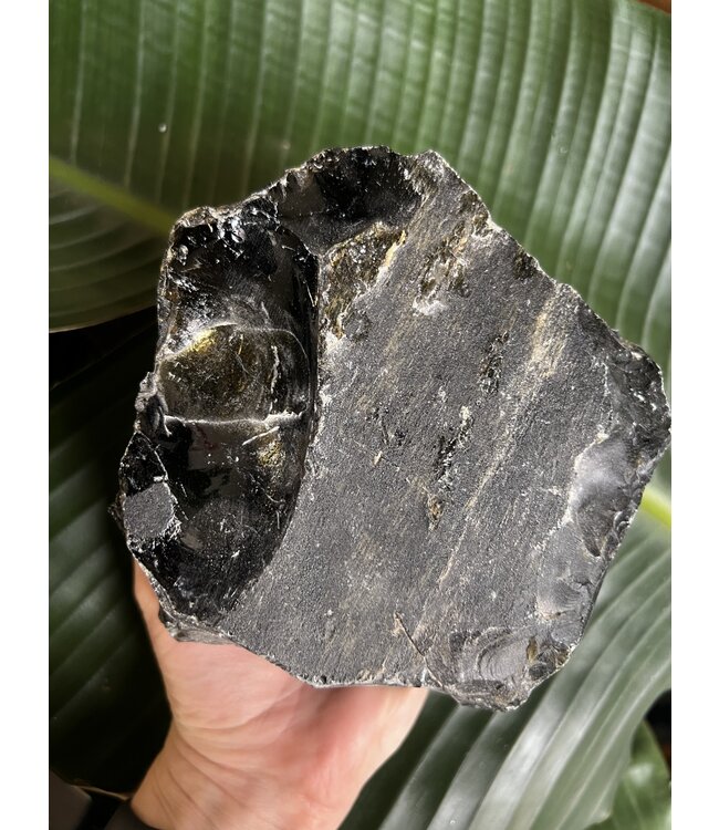 Rough Gold Sheen Obsidian Size 21 [2000-2099gr]