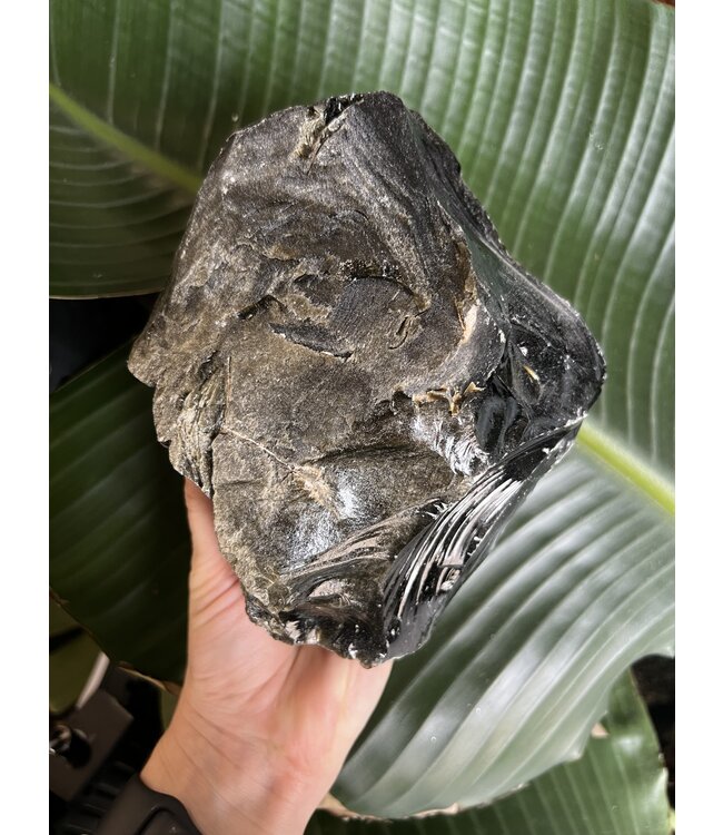 Rough Gold Sheen Obsidian Size 22 [2100-2199gr]
