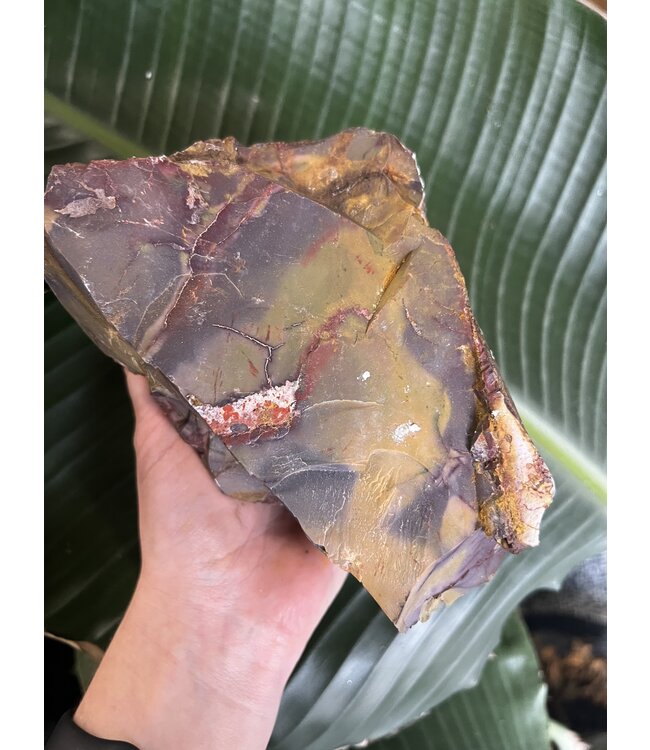 Rough Mookaite Jasper Size 21 [2000-2099gr]