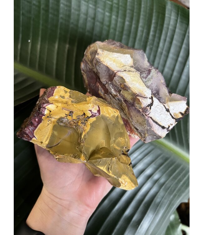 Rough Mookaite Jasper Size 6 [500-599gr]
