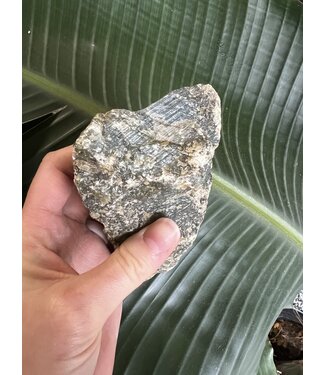 Rough Labradorite Size 5 [400-499gr]