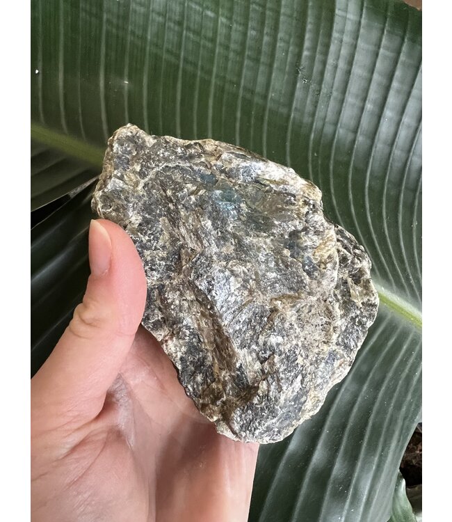 Rough Labradorite Size 10 [900-999gr]